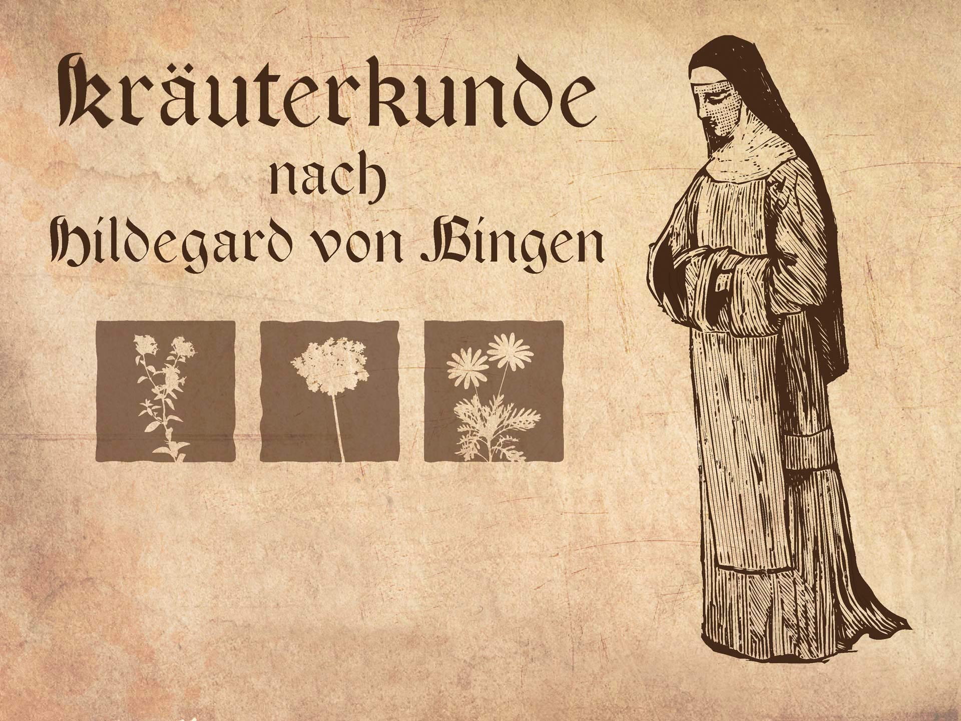 Britta Jöhnk ganzheitliche Behandlung Hildegard von Bingen Kräuterkunde 01